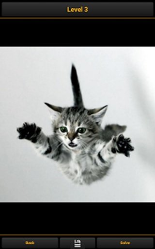 Cats - Puzzle Game截图8