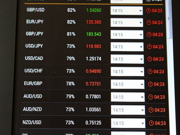 Forex Trading Beginners ...截图3