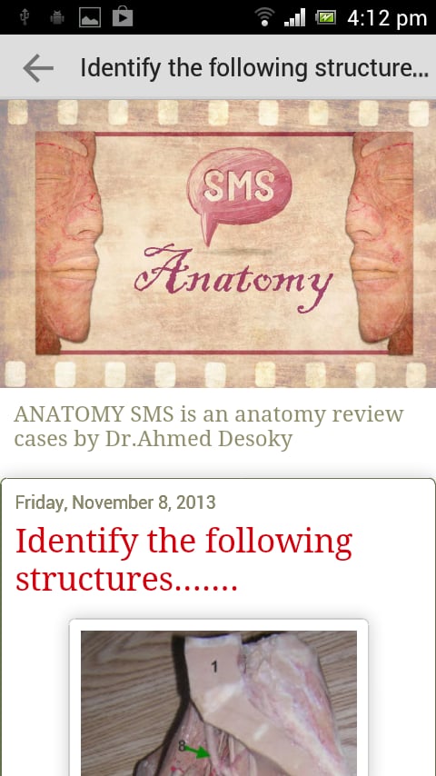 Anatomy SMS截图6