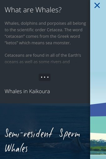 Whale Watch Kaikoura截图2