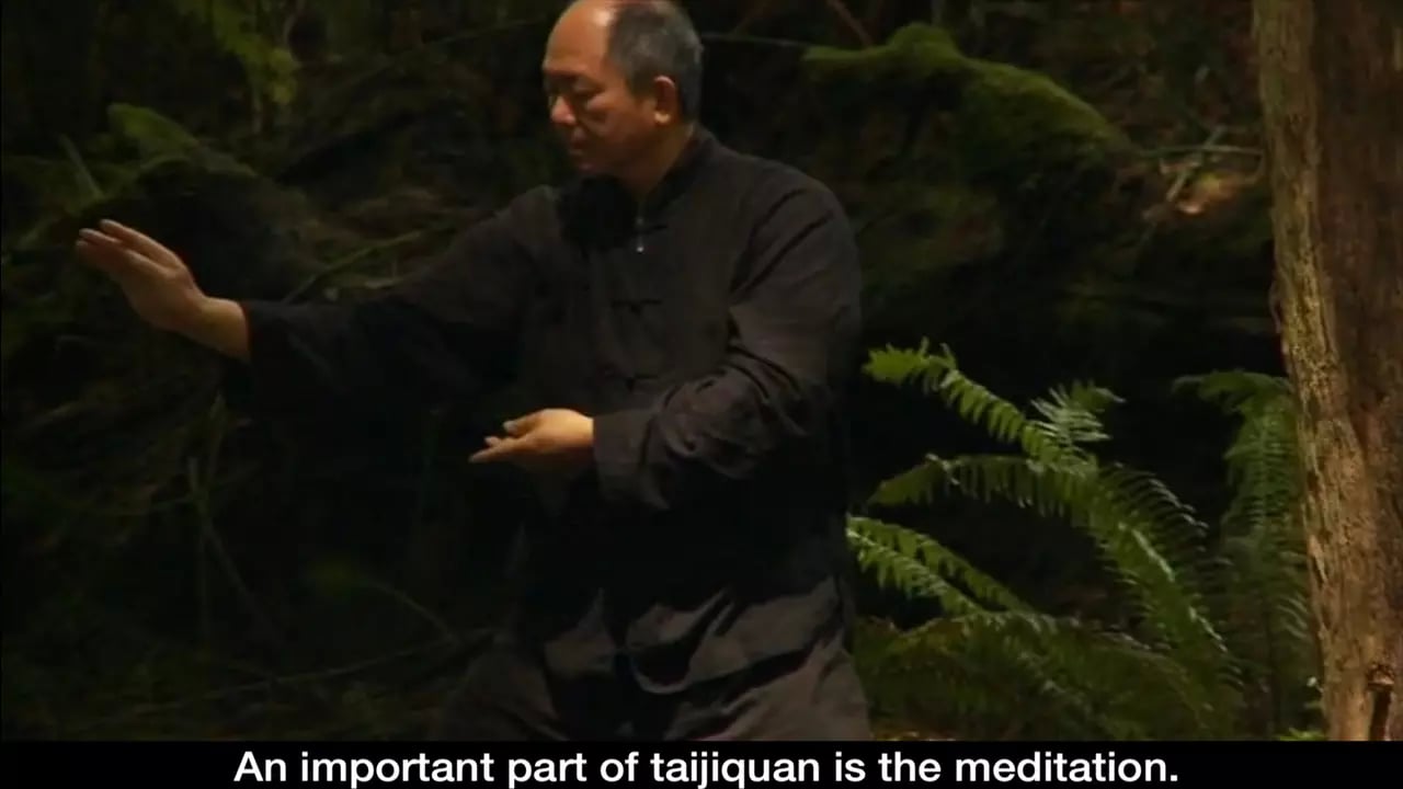 Yang Tai Chi for Beginne...截图9