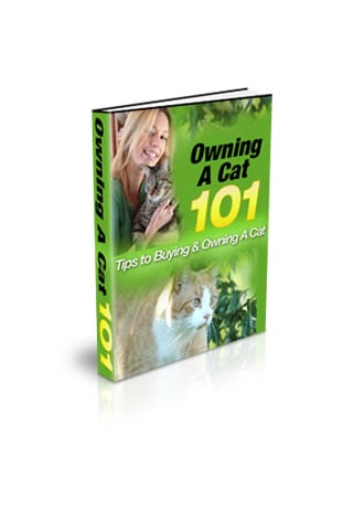 Owning A Cat 101 - FREE截图2