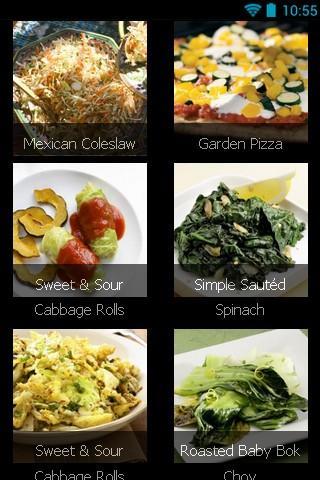 Diet Vegetable Recipes截图2