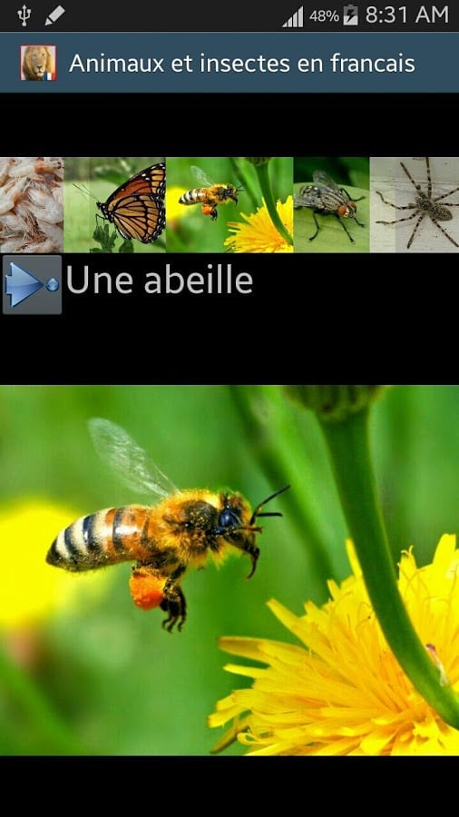 French animals names截图5