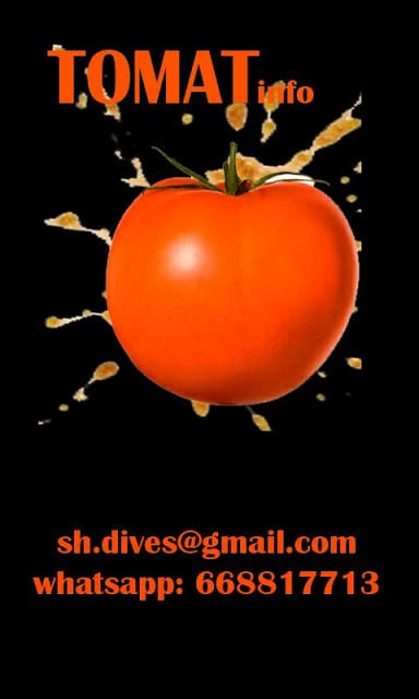 tomatina info截图2