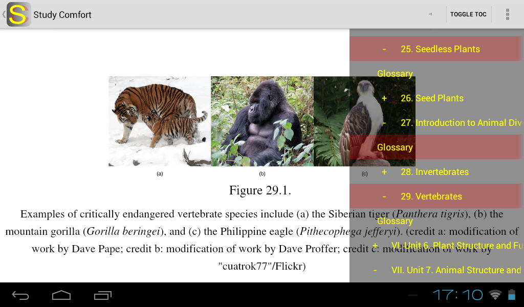 Study Comfort - ePub rea...截图10