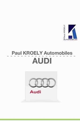 PKA Audi V2截图5