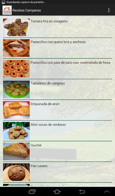 Recetas Camperas截图10