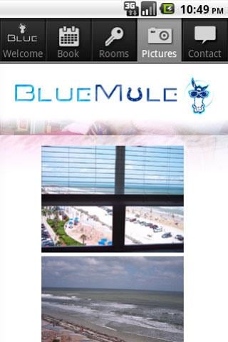 Blue Mule Vacation Condos截图4