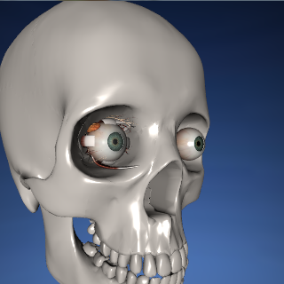 EON 3D Human Eye截图2