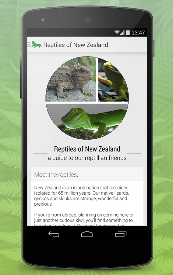 Reptiles of New Zealand Free截图3