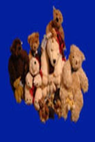 teddy bears adventures picnics截图1