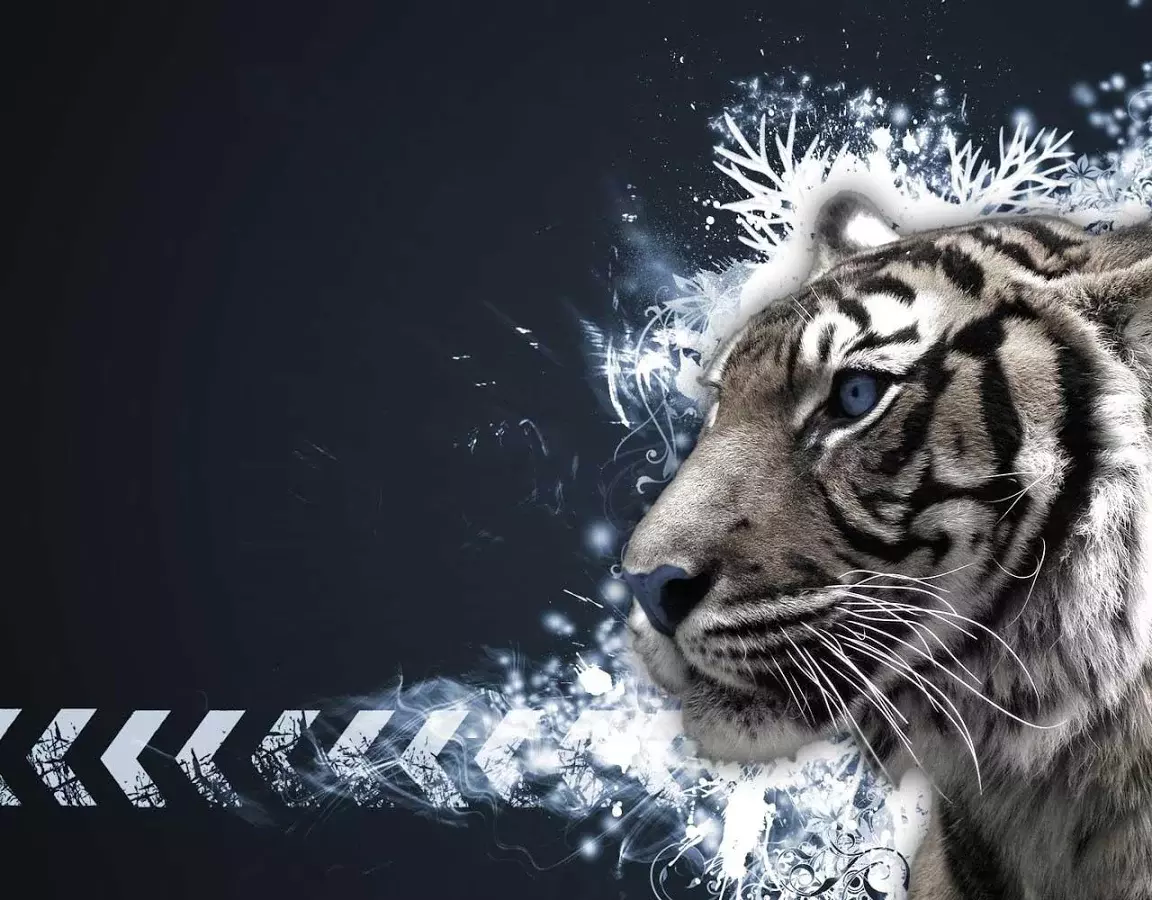 3D Tiger截图1