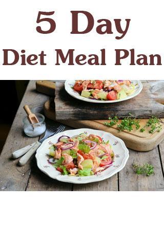 5 Day Diet Meal Plan截图1