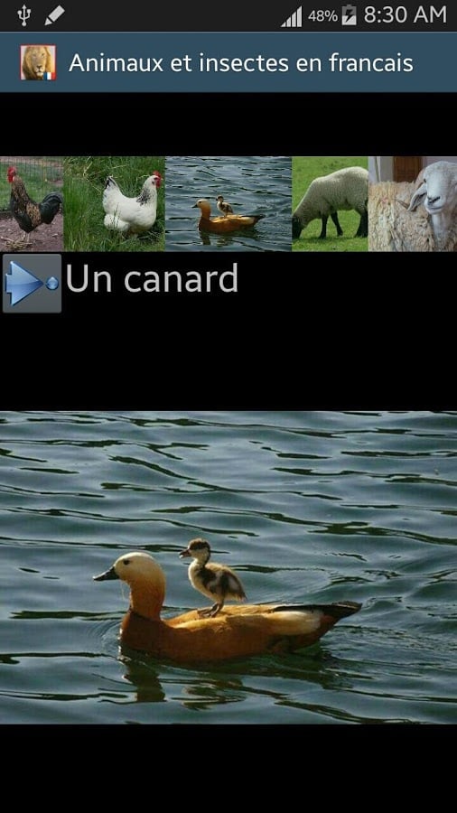 French animals names截图1