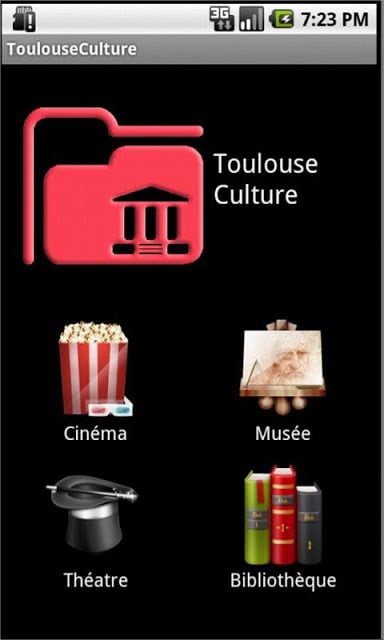 Toulouse Culture截图1