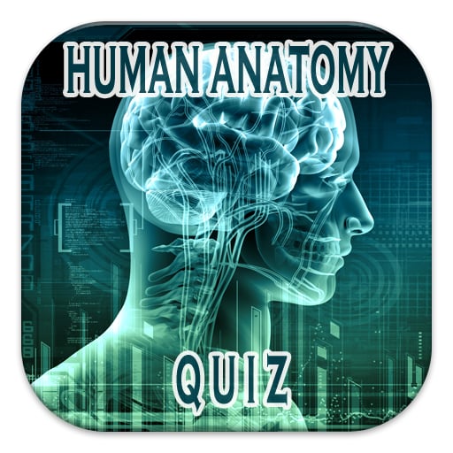 Human Anatomy Quiz截图1