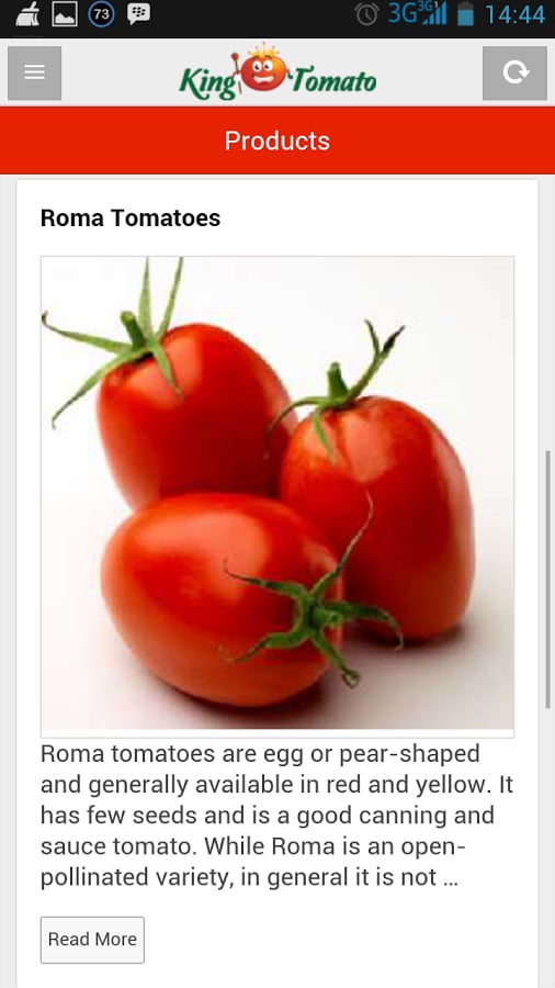 King Tomato截图1