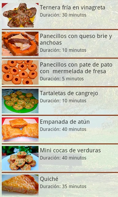 Recetas Camperas截图9