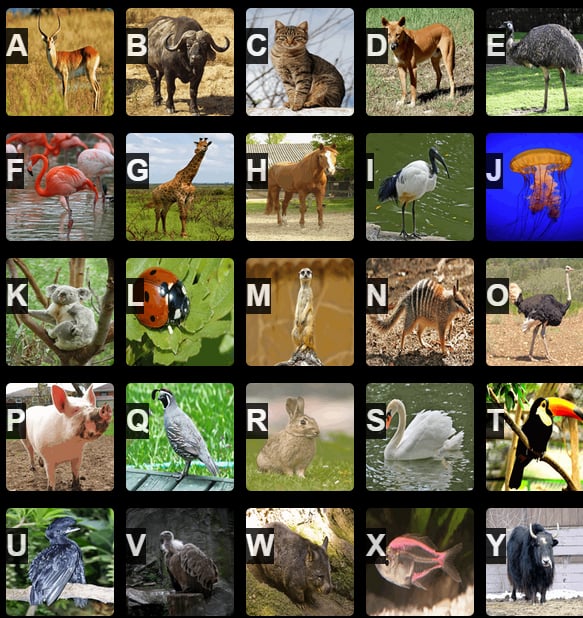 A to Z Animals截图5