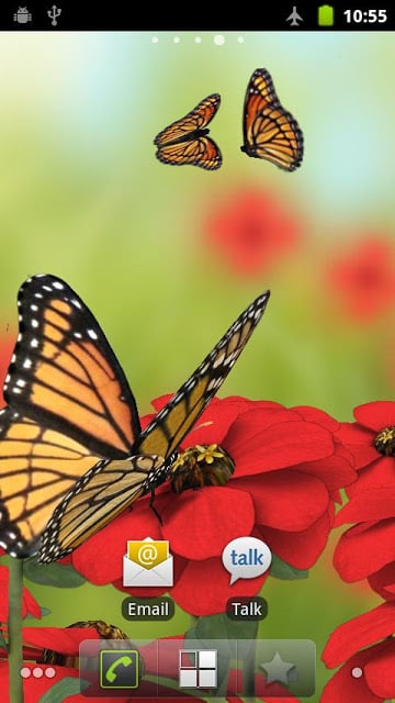 Beautiful Butterflies LWP FREE截图4