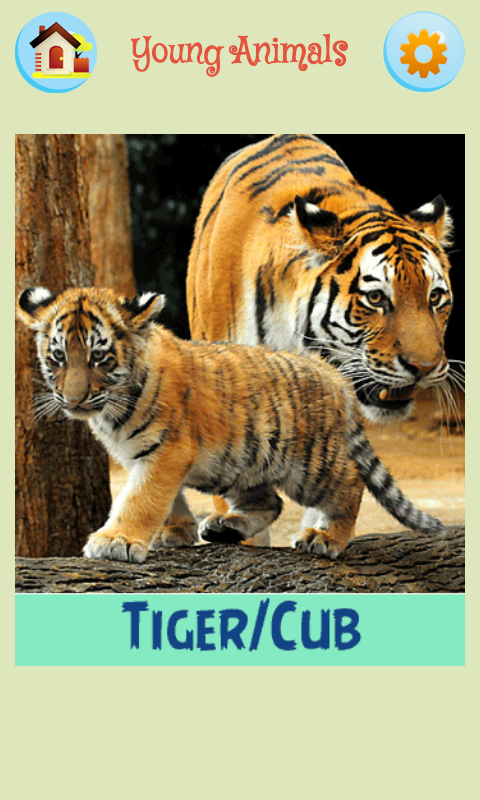 Kids Flashcards - Animals截图3