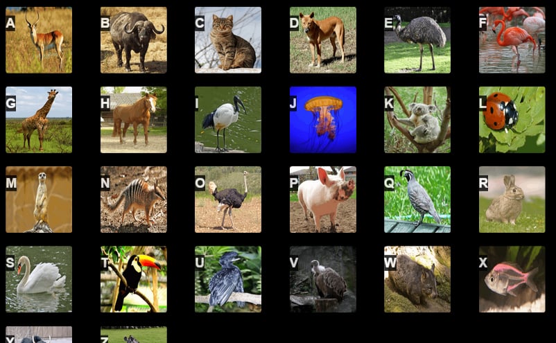 A to Z Animals截图4