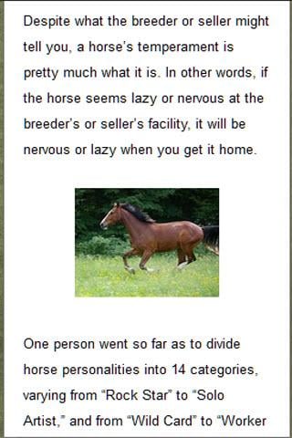 The Horse Ownership Primer截图2