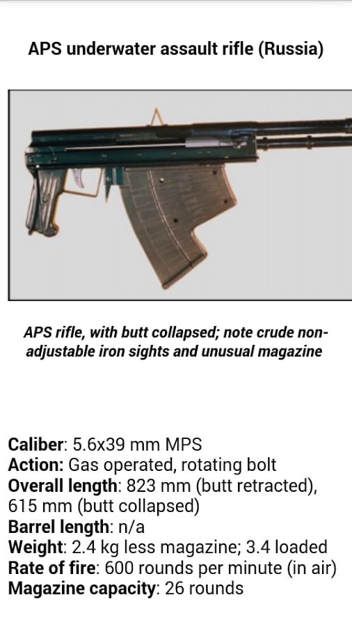 Russian assault weapons截图7