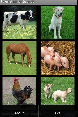 Farm Animal Sounds Free截图1