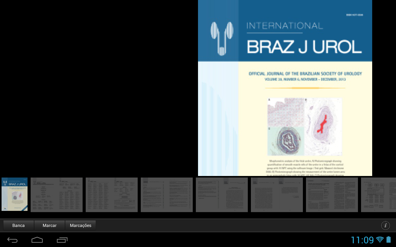 Revista Braz J Urol截图4