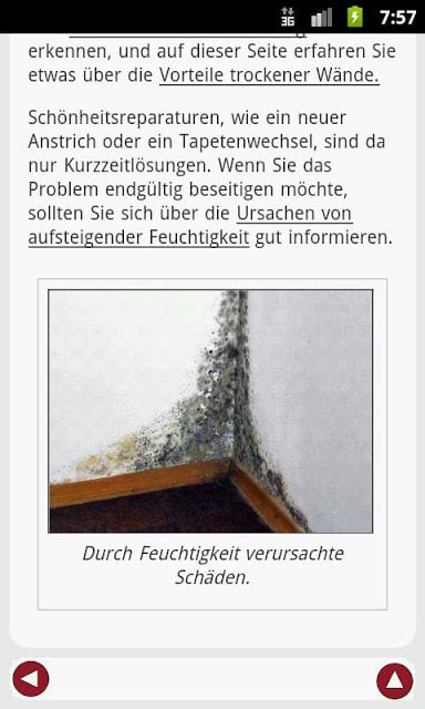 Feuchte im Haus截图2