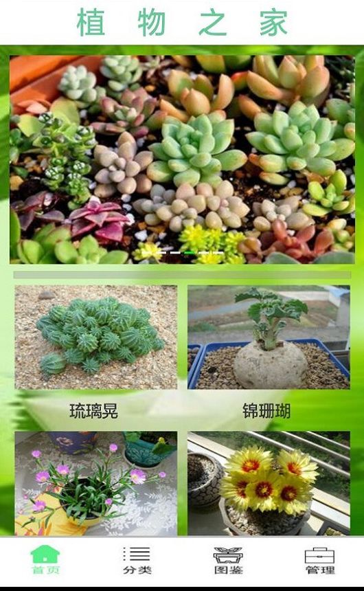 植物之家截图3