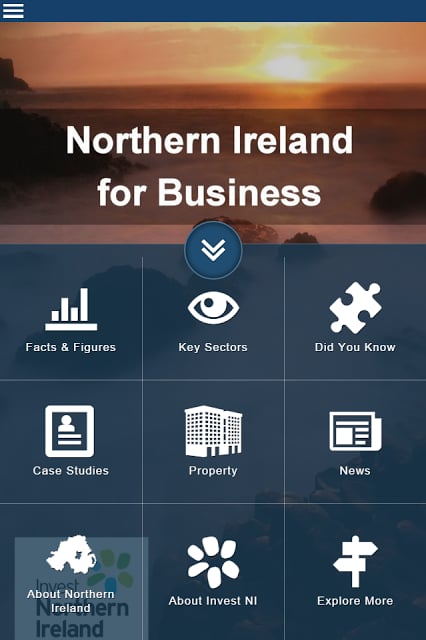 Northern Ireland for Business截图4