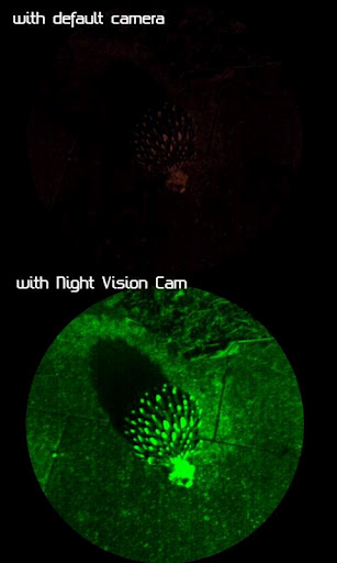 Night Vision Cam Pro截图4