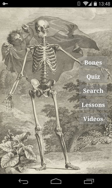 Bones截图8