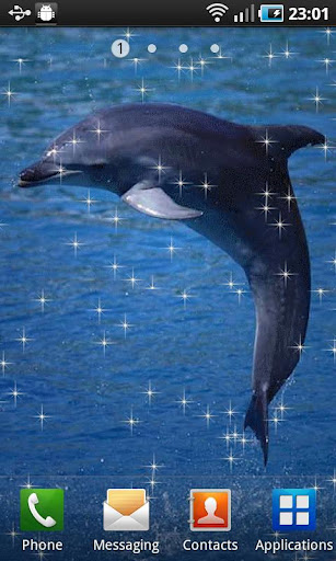 Jumpin Dolphin截图2