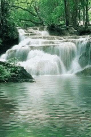 Waterfalls In The Forest Live截图6