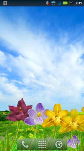 Blooming Flowers LWP截图5