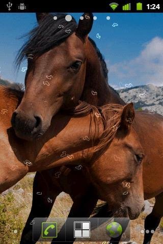 Horses Slide Show截图4