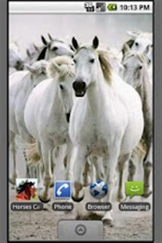 马墙纸 Horses Wallpapers截图3