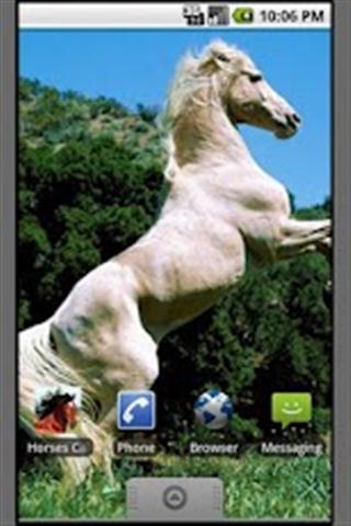 马墙纸 Horses Wallpapers截图2