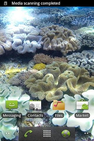 Hot Tropical Corals FREE FREE截图4