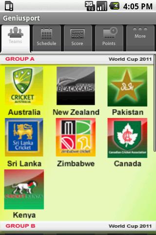 Icc World Cup 2011截图4