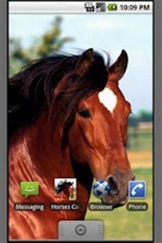 马墙纸 Horses Wallpapers截图1