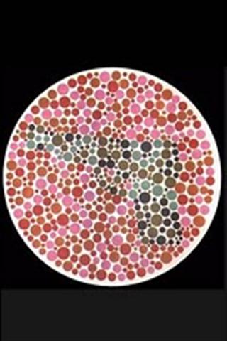 色盲测试图 Color Blindness Test Chart截图4