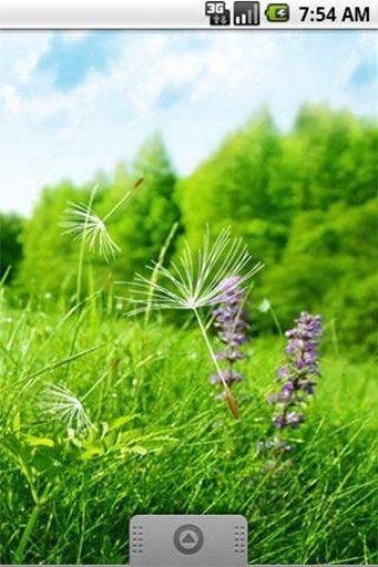 Live Wallpaper Nature Free截图3