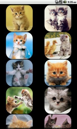 Kids - Cat Sounds截图3