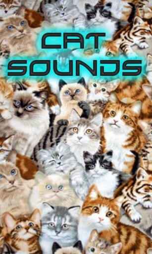 Kids - Cat Sounds截图9