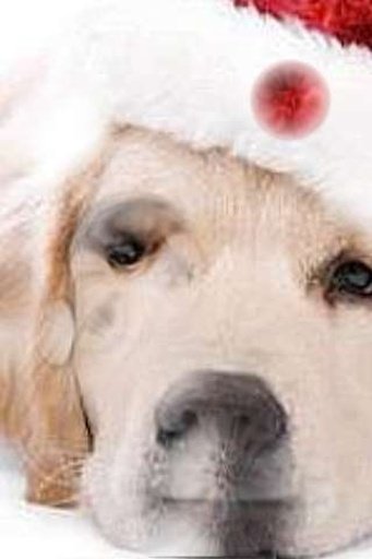 Sad Christmas Dog LWP截图2